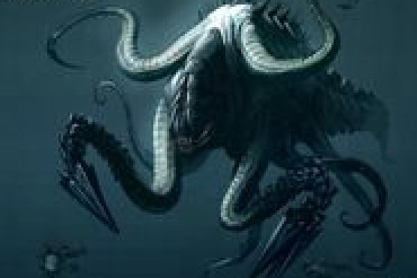 Kraken com darknet