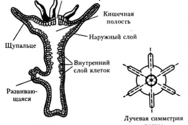 Кракен ссылка список