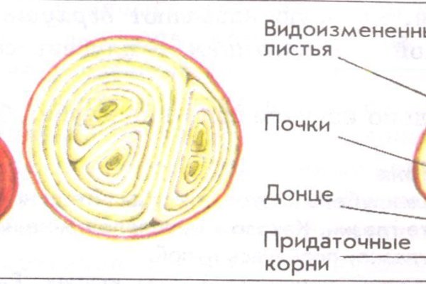 Кракен официальный сайт 2krnk cc